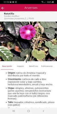 CenicaféManejo Agronómico y Fitosanitario android App screenshot 7