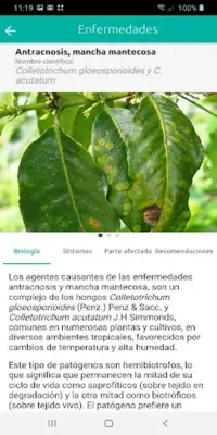 CenicaféManejo Agronómico y Fitosanitario android App screenshot 8